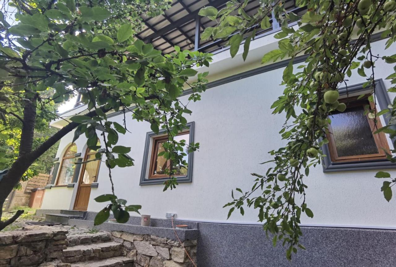 Vila Zia Hotel Corbeni Exterior foto